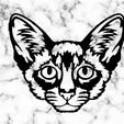 Sin-título.jpg balinese CAT WALL DECOR WALL DECOR MURAL MASCOT CAT DECO WALL HOUSE PET