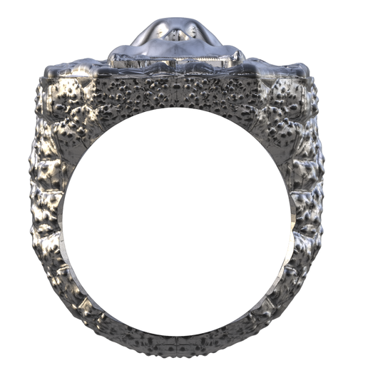 untitled.120.png ANILLO DE PIRATAS 3