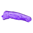 Skull_Part14.stl Protoceratops skull