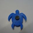 tortue 2.jpg Tortue