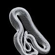 1.jpg SERPENTE ROSPO ANFIBIO RETTILE COBRA PITONE VIPERA ANIMALE ANATOMIA 3D MODELLO SCHELETRO OCEANO OSSA