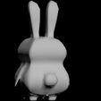2.jpg rabbit