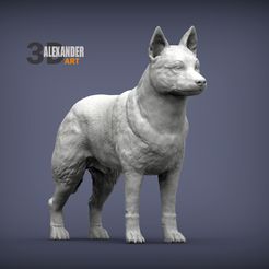 Australian-Cattle-Dog-1.jpg Archivo STL Perro boyero australiano Modelo de impresión 3D・Design para impresora 3D para descargar