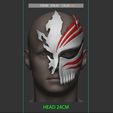 17.JPG Half Hollow Mask - Kurosaki Ichigo - Bleach 3D print model
