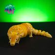 11.jpg Articulated Armadillo