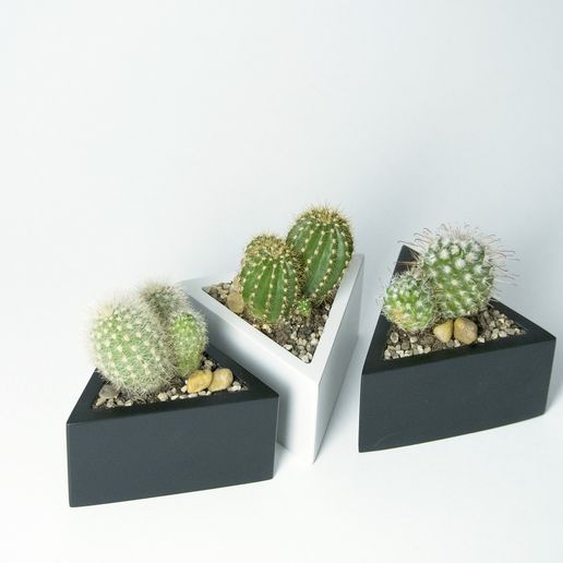 P2090296.jpg Prisma Pflanzgefäß