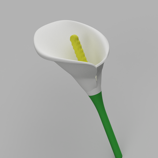 calla_2022-Oct-04_03-00-54PM-000_CustomizedView16940522343.png Flower Calla