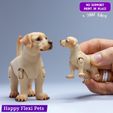 11.jpg Labrador retriever realistic dog articulated flexi toy (STL & 3MF)