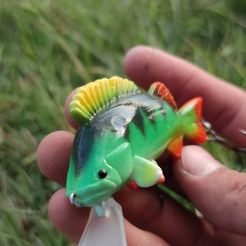 Free STL file Fishing lures (wobblers); pike, perch, 🎣・3D print model  to download・Cults