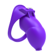 EasyCB04_RenderFile.30.png STL file EasyCB V4 - Customizable Chastity Cage・3D printing model to download