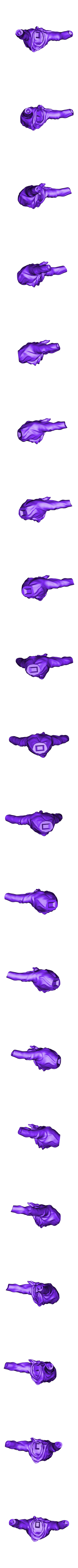 Trunks GT - Bust.stl GT Trunks