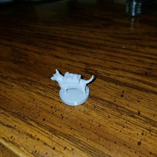 2F20181128_211002.jpg Corgi-Abenteurer