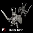 PaladinPost01.jpg Conejito Paladín