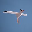 _DSF6521.jpg Gaetano - The swinging seagull