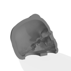 skull-upper-die-NPab.png Skull casting mold