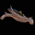 pstruh-9.png rainbow trout underwater statue on the wall detailed texture for 3d printing