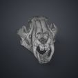 Tiger_Skull_Render_3Demon.647.jpg Tiger Skull (Panthera Tigris Tigris) realistic replica
