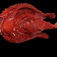 6.jpg Peixe-morcego Halieutaea Stellata RAPE CARPA ÁGUA RIVER OCEANO MAR PESCA ANIMAL Carpa TUBARÃO PEIXE 3D ANIMADO SALMÃO ATUM VERMELHO