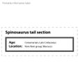 Spinosaurus_tail_label.jpg Spinosaurus Tail Section