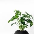 misprint-9968.jpg The Melfi Planter Pot with Drainage | Tray & Stand Included | Modern and Unique Home Decor for Plants and Succulents  | STL File