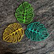 IMG_20210215_172836.jpg Fichier 3D Collection de feuilles de Monstera・Objet pour impression 3D à télécharger