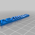 Team-RS.png Team RS - Ford Keyring / Keychain