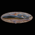 pstruh-klacky-1-10.png rainbow trout 2.0 underwater statue detailed texture for 3d printing