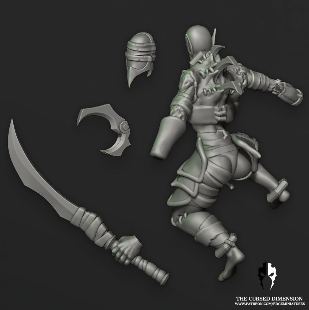 WrackedWarriors_Raider_02_02.png 3D file Cursed Warriors - Set 02 - All Female - Cursed Elves・3D print design to download, edgeminiatures