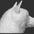10.jpg Doge meme Shiba Inu head for 3D printing