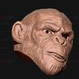 18.jpg King Monkey Mask - Kingdom of The Planet of The Apes