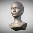 Zrzut-ekranu-2025-06-13-112623.png Le buste de Zendaya pour l'impression 3D