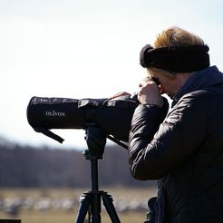 binoculars-bird-watchers-focused-woman.jpg STL file Watcher・3D printing design to download