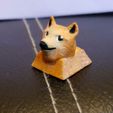 20210509_233748-01.jpeg Doge Dog Meme Novelty Keycap Cherry MX Stem