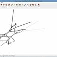 walking_stick.jpg walking stick bug Phasmida