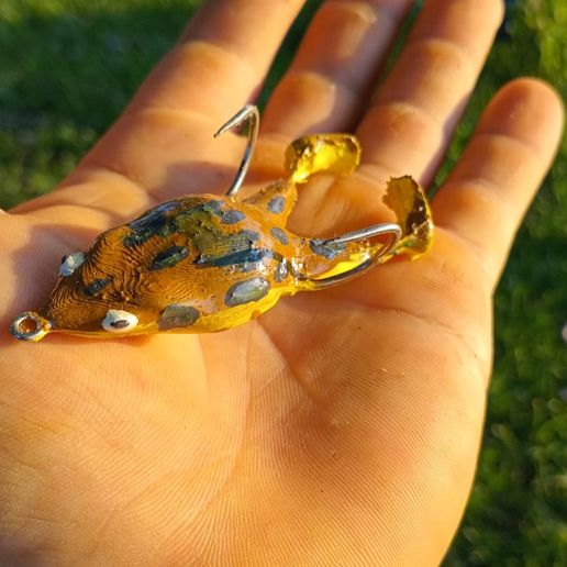 Imagen-de-WhatsApp-2024-11-04-a-las-19.04.29_ba07b844.jpg Señuelo Rana