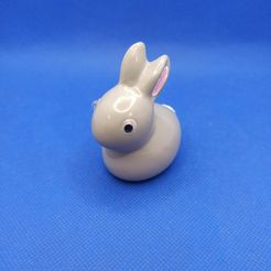 1615917742531.jpg STL file Small rabbit - Petit Lapin・3D printing template to download