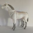 IMG_20190915_173431.jpg Archivo STL Caballo BJD・Objeto imprimible en 3D para descargar