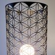 20240825_185010.jpg Flower of life 3. lampshade