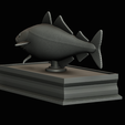 coalfish-statue-box-1-41.png fish coalfish / Pollachius virens with storage space / for 3d printing