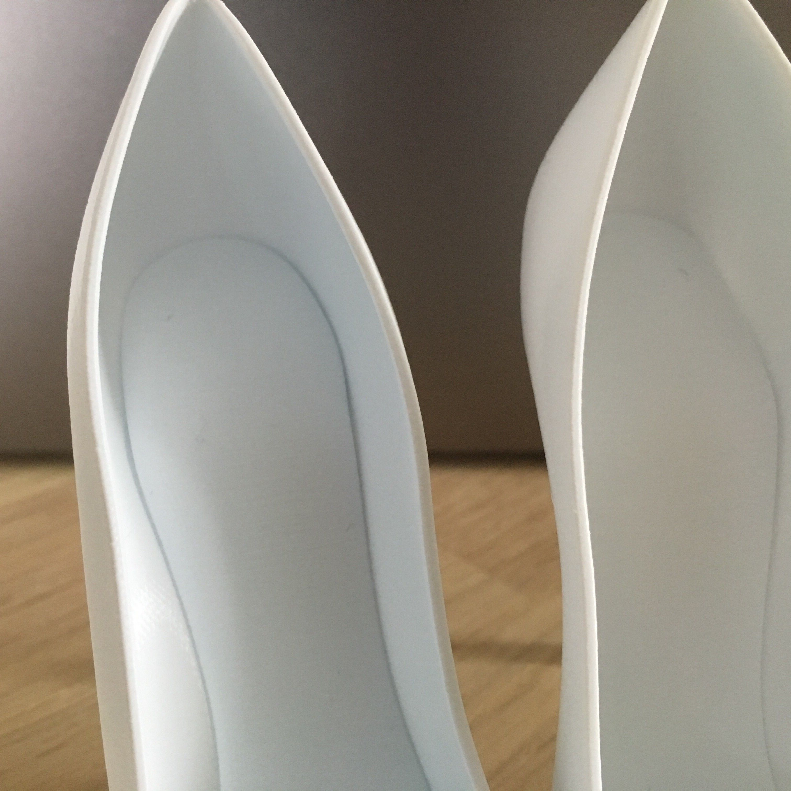 IMG_5762.JPG STL file High heels Pump・Model to download and 3D print, JOlivier