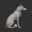 Fox-sitting10.jpg Fox 3D print model