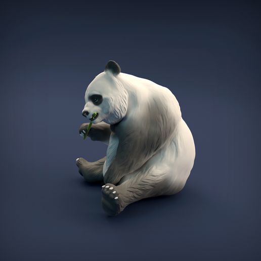 Panda_3.jpg Datei 3D Großer Panda・Design für 3D-Drucker zum herunterladen, AnimalDenMiniatures