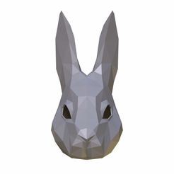 Rabbit_mask_01.jpg Rabbit mask