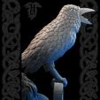 Raven.jpg Odin