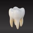 tooth3.jpg 齿形