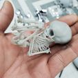 336544078_2004746773206334_8586440373834716211_n.jpg Fetus infant skeleton