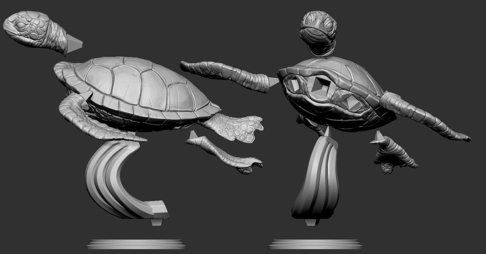 8.jpg STL file Turtle・3D print model to download, F-solo