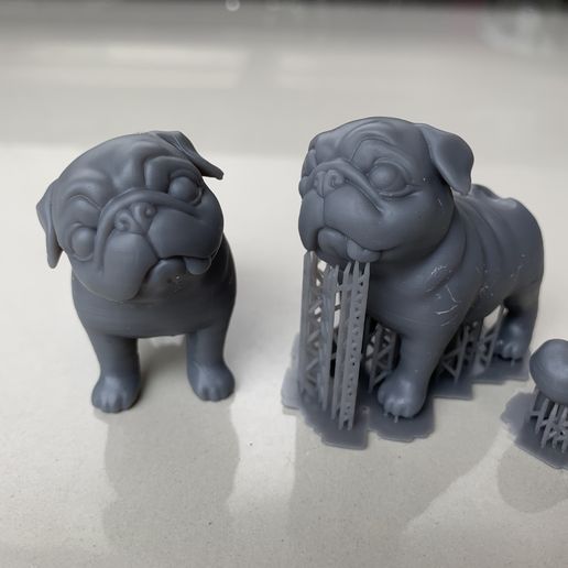 114424DD-4B88-438B-B0E5-DF1634D6D45E.jpeg Pregunta Pug Modelo de impresión en 3D