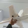 9.jpeg f18-d 50mm edf 3dprint rc plane