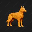 1591-Belgian_Shepherd_Dog_Laekenois_Pose_01.jpg Belgian Shepherd Dog Laekenois Dog 3D Print Model Pose 01